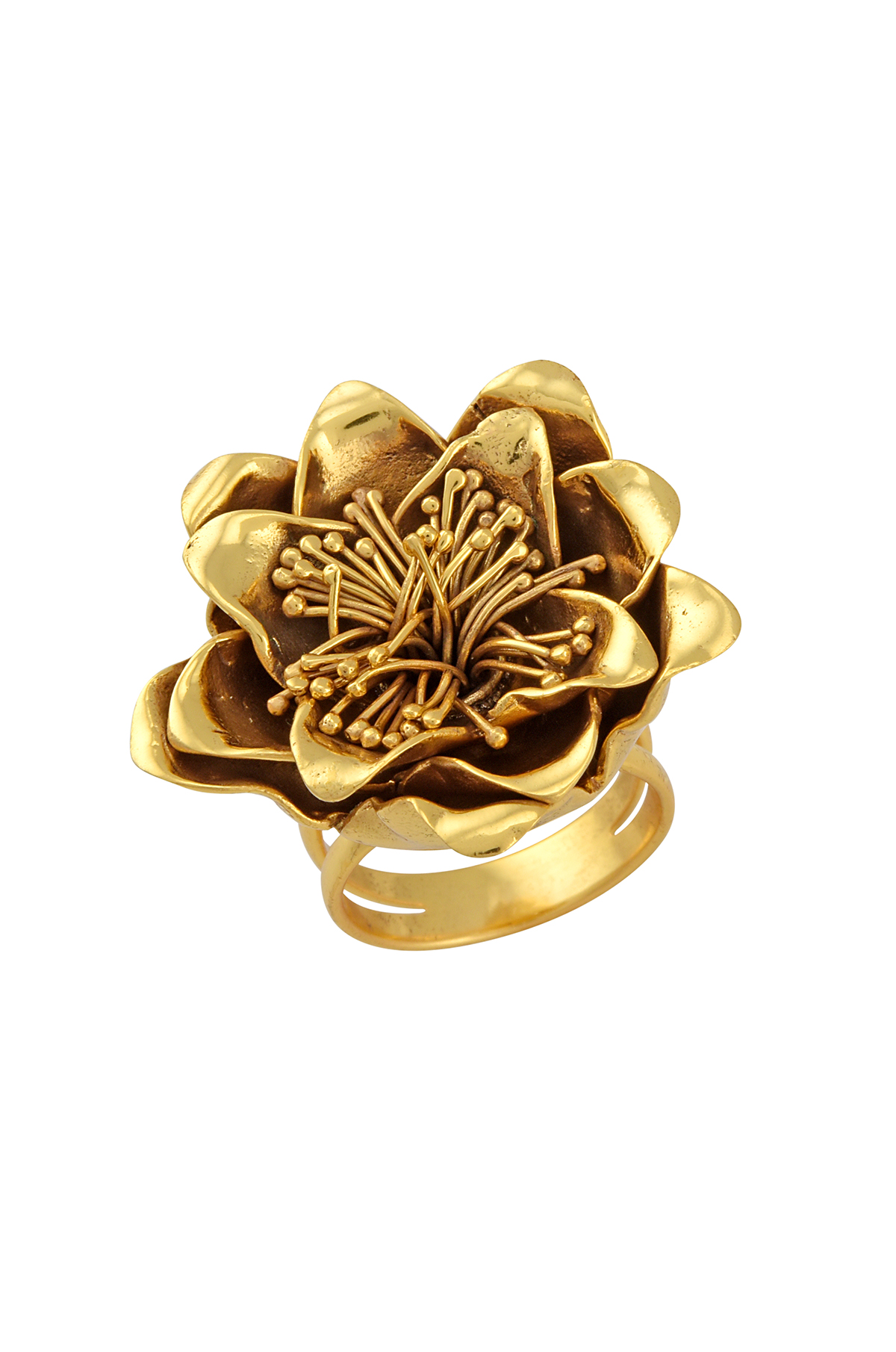 https://tribecdn.tribeamrapali.com/Catalog/Product/00/01/ID1305_1302_IMG_1_7cdb4f8d8f0c4f749866145d3ac65b15.jpg